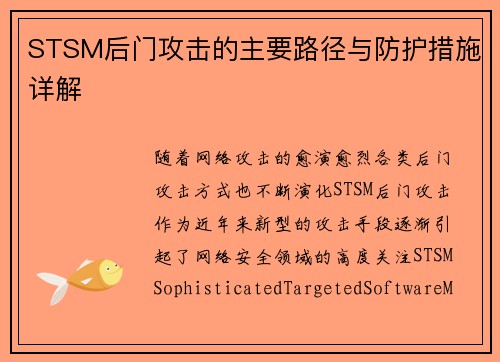 STSM后门攻击的主要路径与防护措施详解