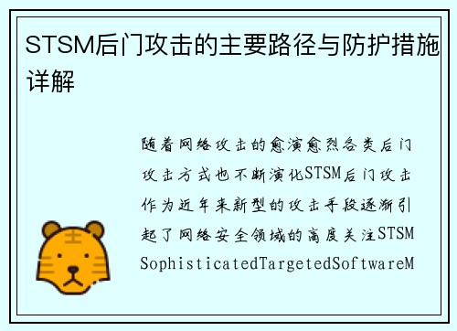 STSM后门攻击的主要路径与防护措施详解